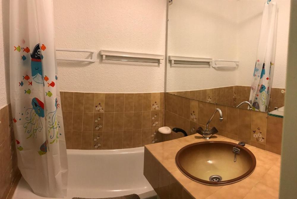Studio 4 Personnes Rez De Jardin A Ancelle 05260 Экстерьер фото
